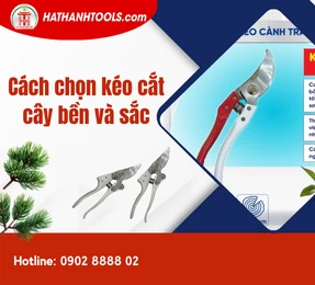 Cách chọn kéo cắt cây bền và sắc
