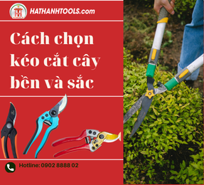 Cách chọn kéo cắt cây bền và sắc