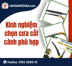 Kinh nghiệm chọn cưa cắt cành phù hợp