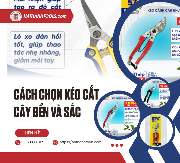 Cách Chọn Kéo Cắt Cây Bền Và Sắc – Bí Quyết Giúp Cắt Tỉa Hiệu Quả, Tiết Kiệm Chi Phí