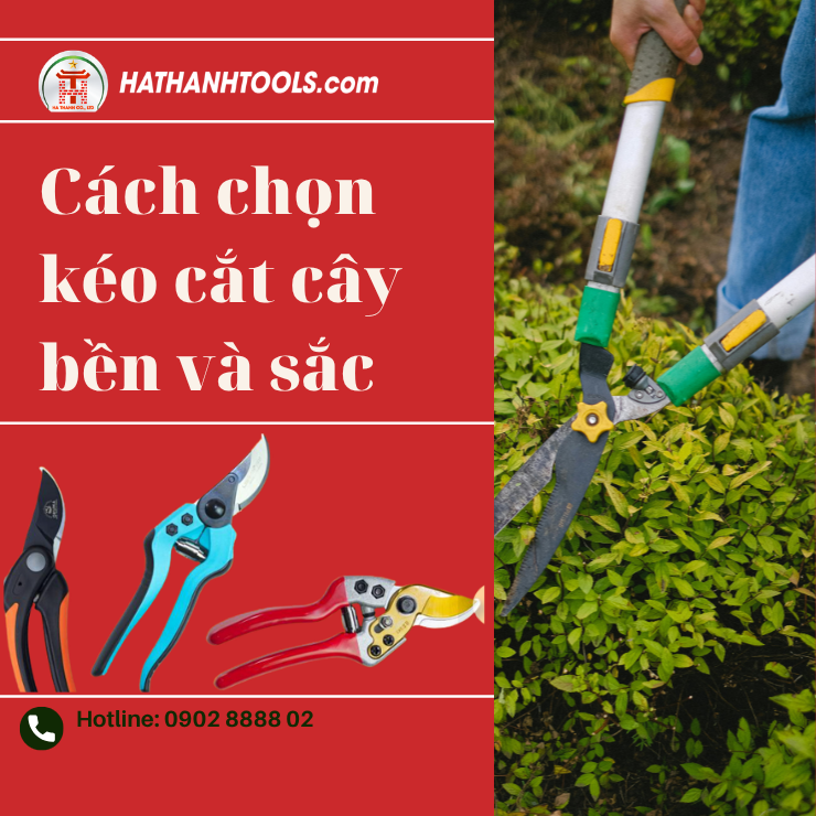 Cách Chọn Kéo Cắt Cây Bền Và Sắc – Bí Quyết Giúp Làm Vườn Hiệu Quả, Tiết Kiệm Chi Phí