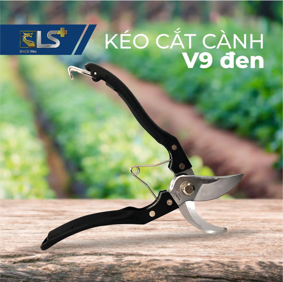 Cách Chọn Kéo Theo Nhu Cầu Sử Dụng