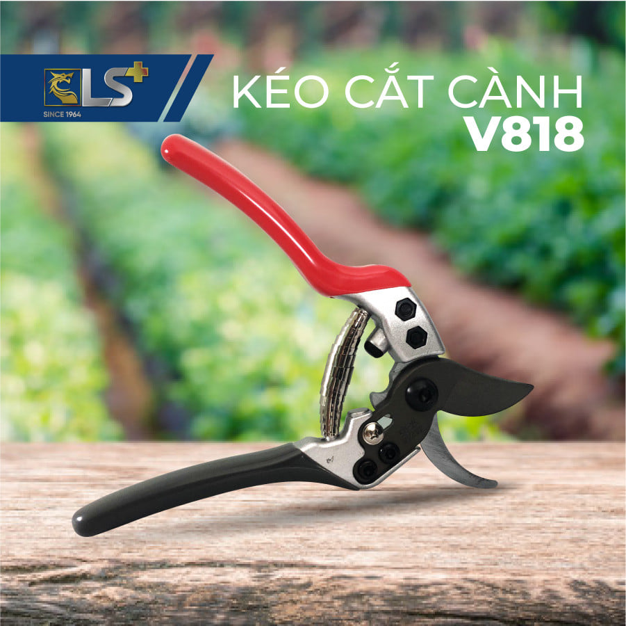 Cách Bảo Quản Kéo Cắt Cây Để Luôn Bền Và Sắc