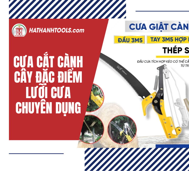 Cưa cắt cành cây: đặc điểm lưỡi cưa chuyên dụng