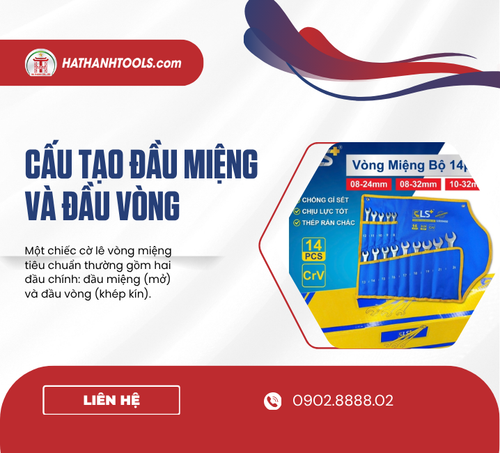 Cấu tạo đầu miệng và đầu vòng