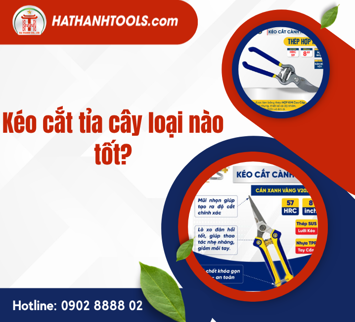 Kéo cắt tỉa cây loại nào tốt? Bí quyết chọn dụng cụ cầm tay phù hợp cho mọi nhu cầu làm vườn