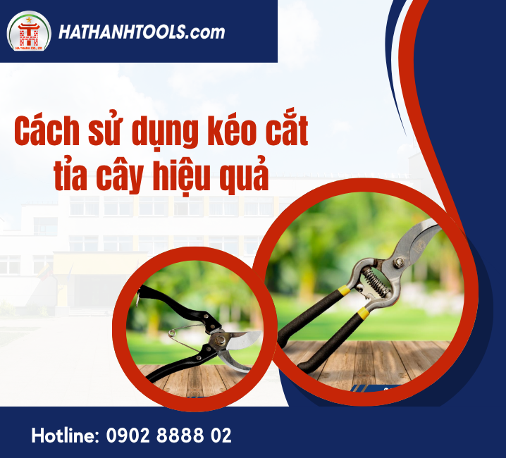 Cách sử dụng kéo cắt tỉa cây hiệu quả