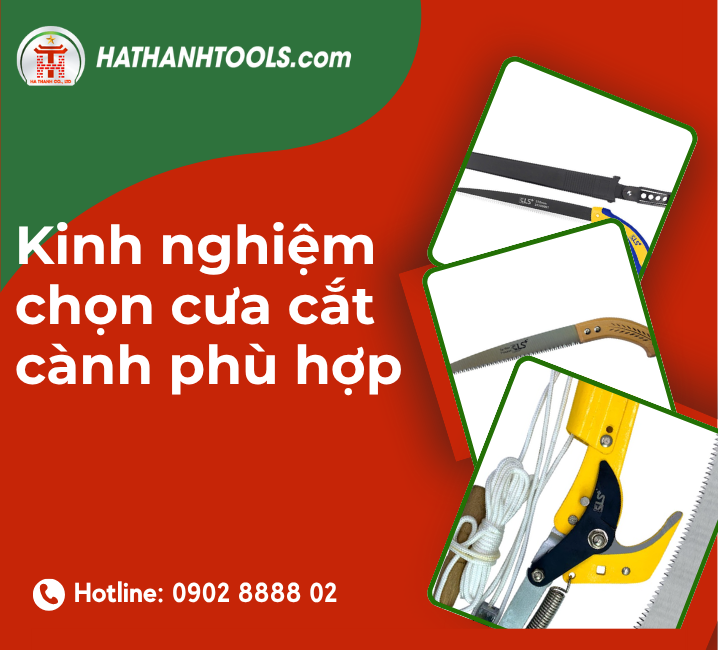 Kinh Nghiệm Chọn Cưa Cắt Cành Phù Hợp Cho Người Làm Vườn Và Chăm Sóc Cây Xanh